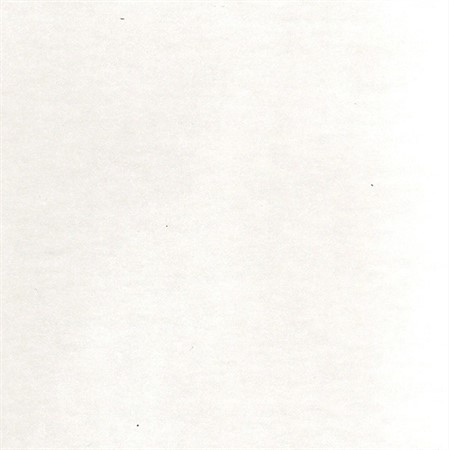 Heltäckningsmatta Expo Trend, vit